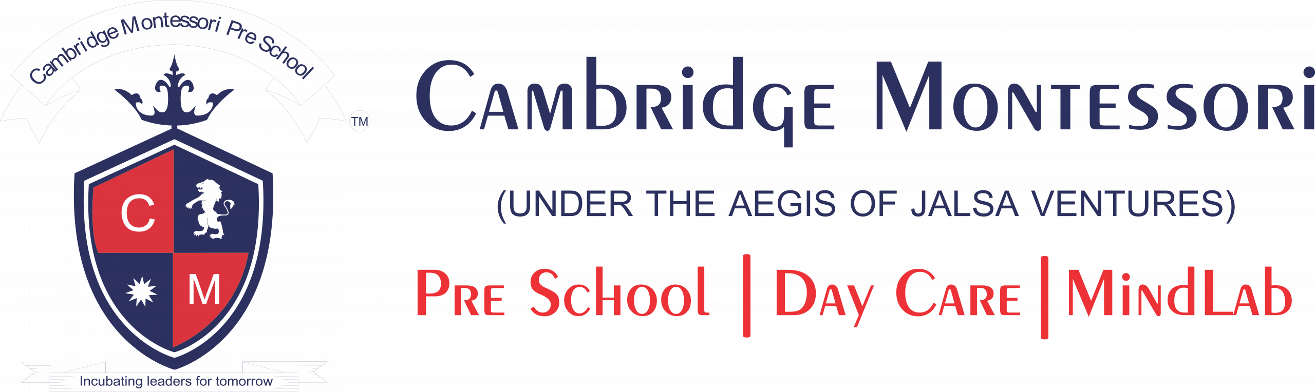 Cambridge Montessori Global