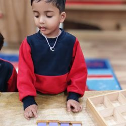 WhatsApp Image 2026-03-26 at 12.31.54 PM (2)