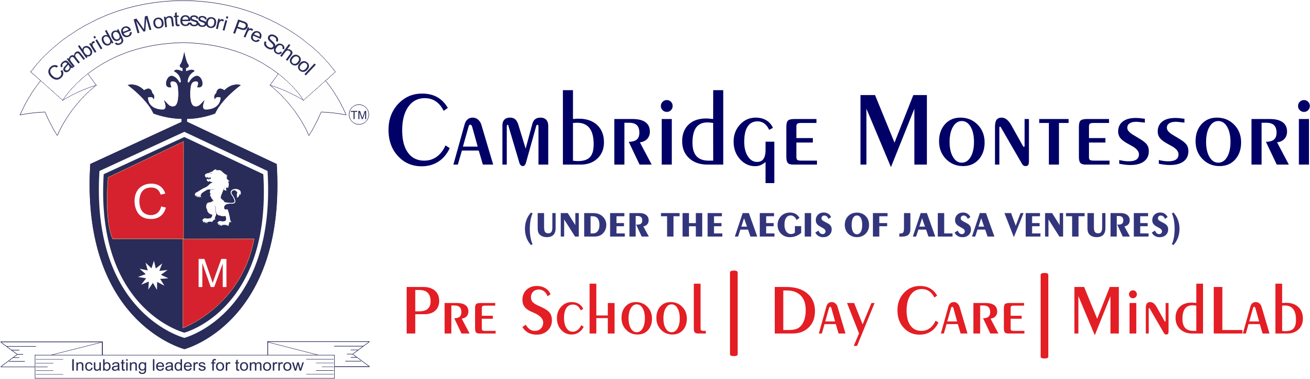 Cambridge Montessori Global