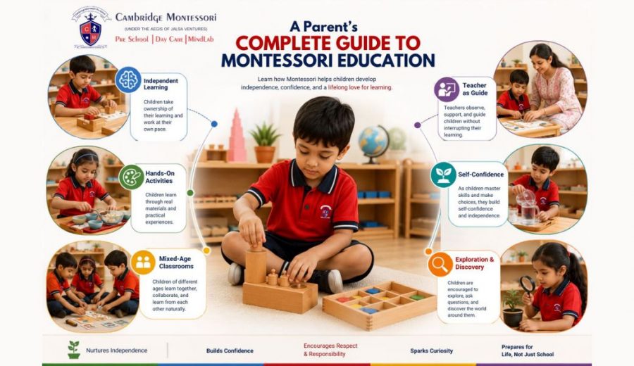 Montessori Education Guide