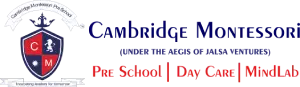 Cambridge Montessori Global