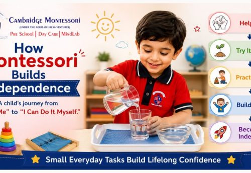 Montessori Activities for Preschoolers