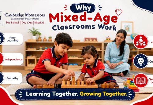 Early Childhood Education, Why Mixed-Age Classrooms Work
