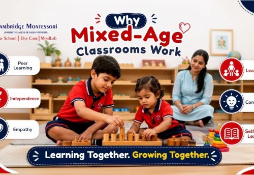 The Role of Early Childhood Education, Why Mixed-Age Classrooms Work