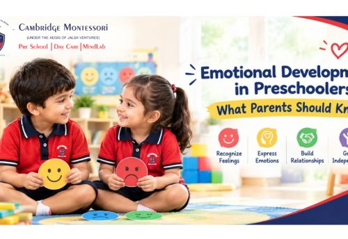 Emotional Development in Preschoolers What Parents Should Know